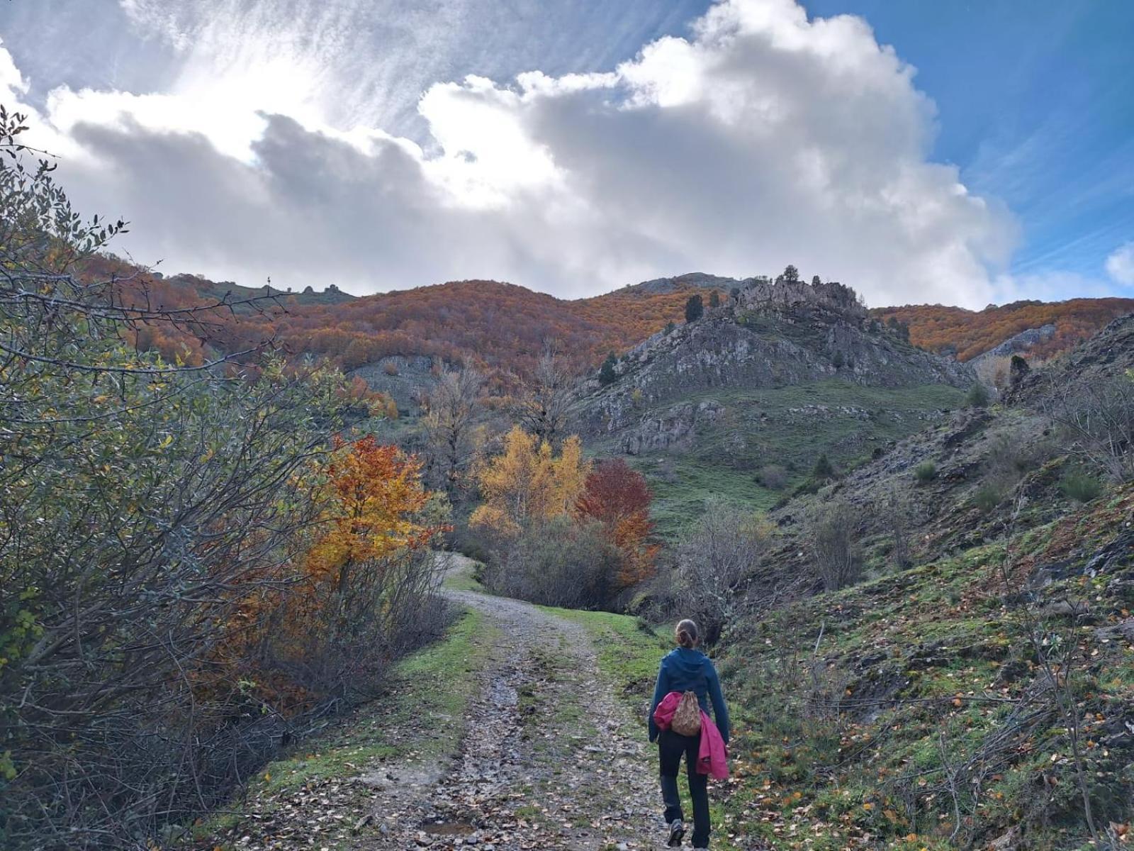 Hotel Rural Valle Del Tuejar Таранилья Экстерьер фото